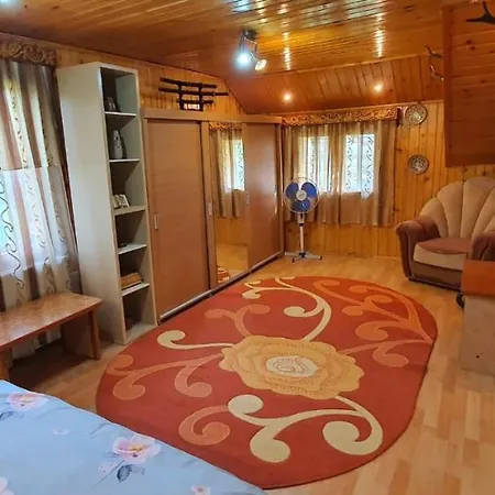 Casa Cristian Campulung Moldovenesc