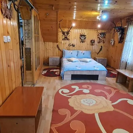 Holiday home Casa Cristian Campulung Moldovenesc