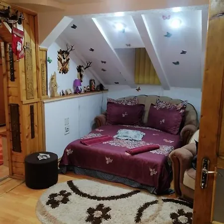 Casa Cristian Holiday home Campulung Moldovenesc