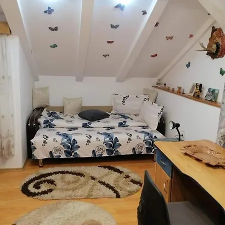 Casa Cristian Holiday home